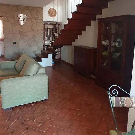 Violivia * Aggius