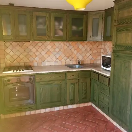 Violivia * Aggius